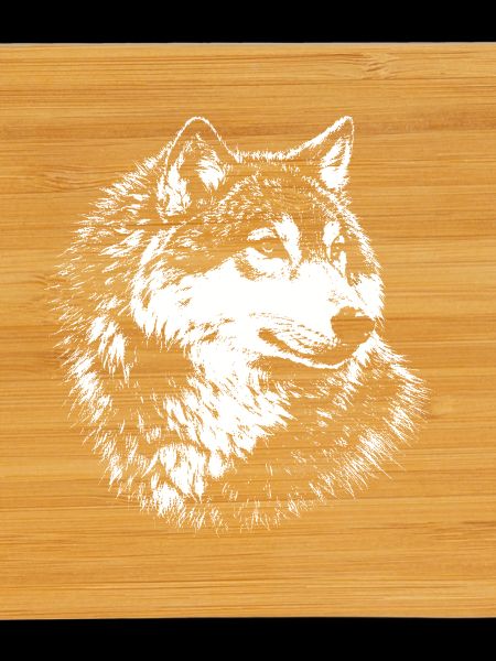 Wolf – graphic in white pencil