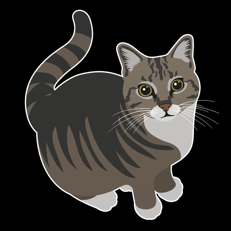 tabby cat with white paws