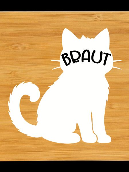 Hochzeit Katzen Braut