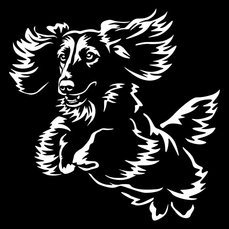 Dachshund "Black Edition"