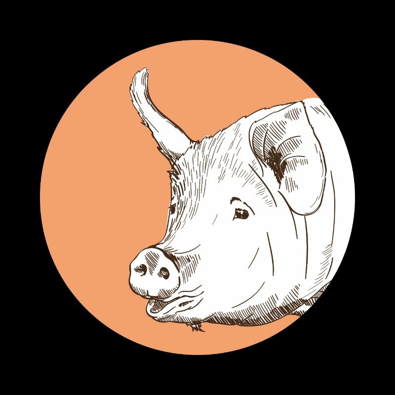 Schwein