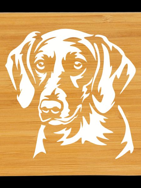 American Foxhound Head "Black Edition"