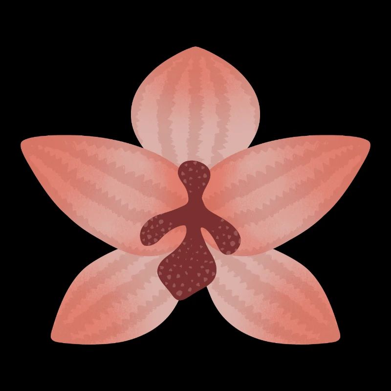 Fleur d’orchidée pastel