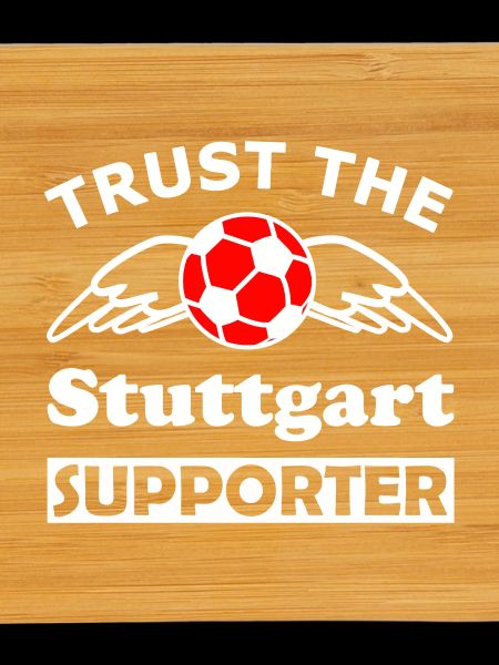 Stuttgart Supporter Wingball