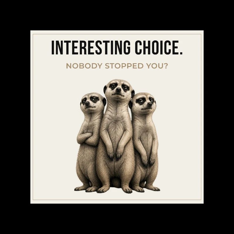 Interesting Choice Meerkat Trio