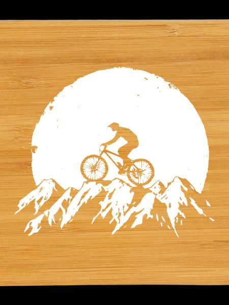 Mountain bike