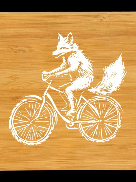 Funny Bicycle Fox