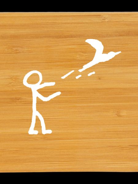Let fly