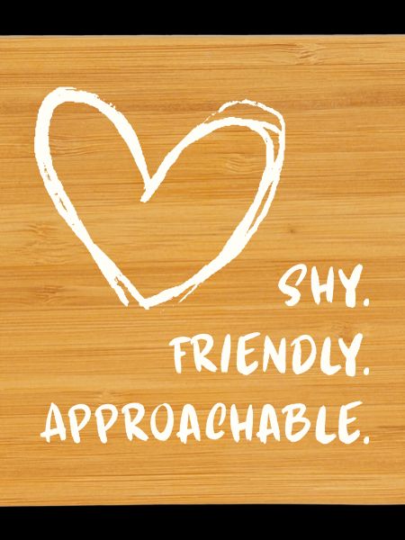 Flirting Introverts Shy Friendly Approachable