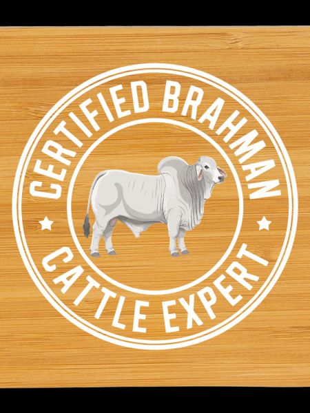 Brahman Expert Cattle Cows Gift