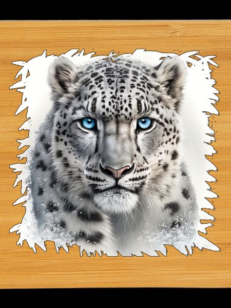 Snow leopard with blue eyes