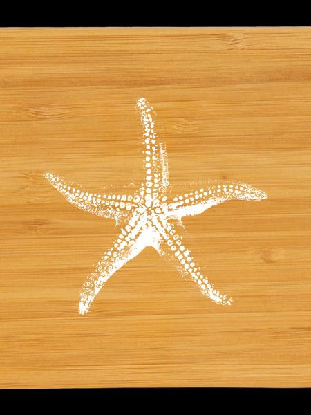 Starfish Silhouette Noir