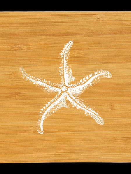 White Starfish Silhouette