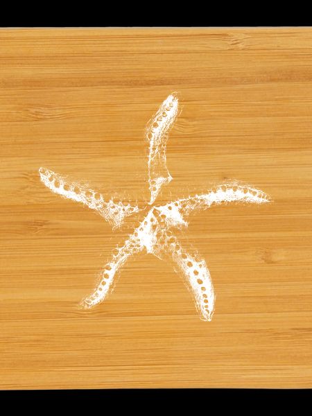 Minimal Starfish Silhouette