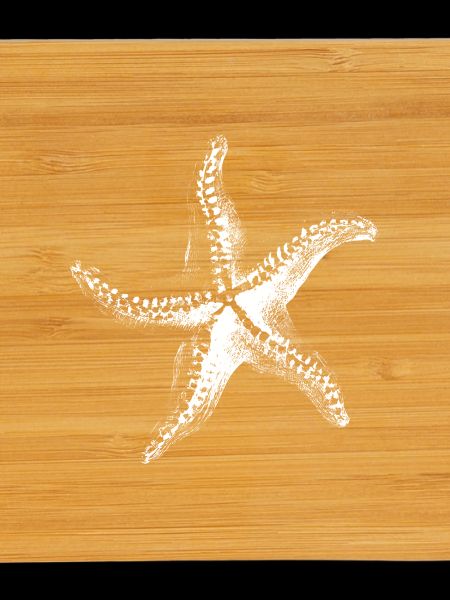 White Starfish Silhouette