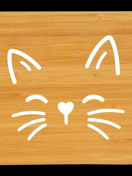 Cute cat with heart nose