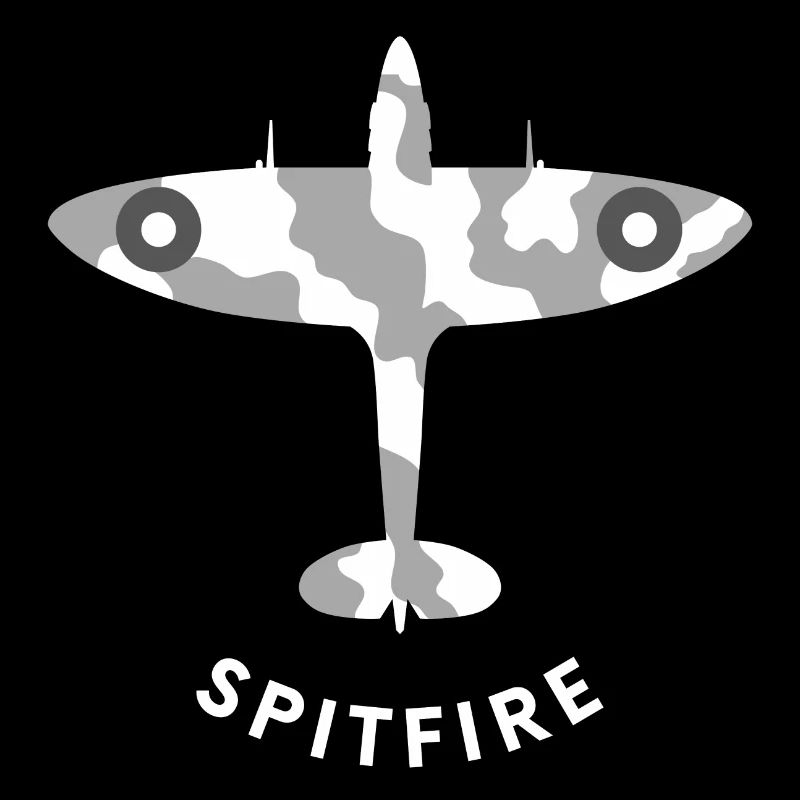 Avion de chasse de Spitfire