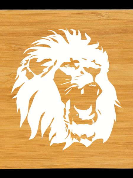Lion's head