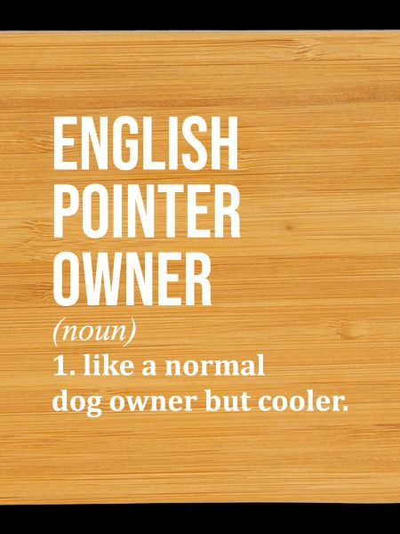 Pointeur anglais Pointeur anglais Pointeur anglais
