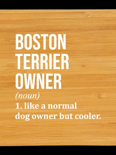 Boston Terrier Boston Terrier Boston Terrier