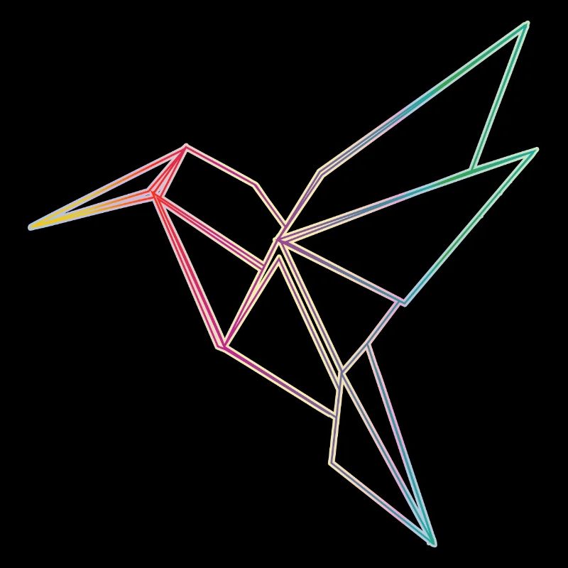 Conception géométrique des lignes de colibri