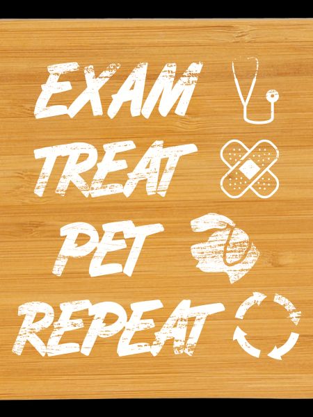 Pet Examiner la friandise