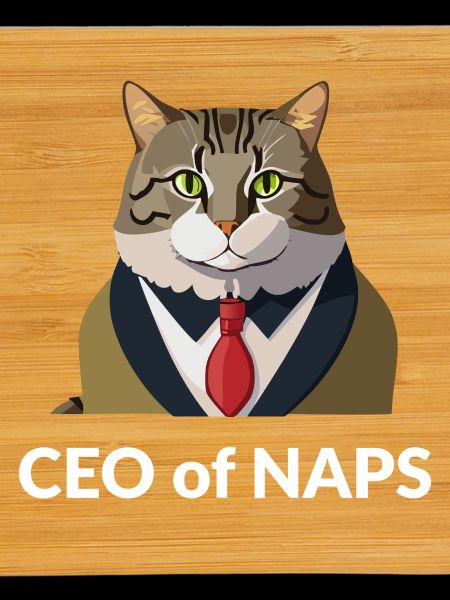 Businessman cat with tie