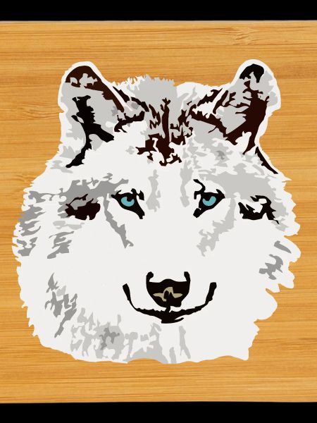 White wolf blue eyes