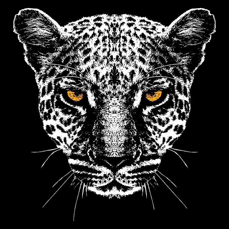 Leopard / Head / Eyes