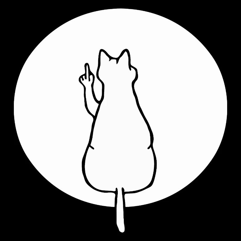 Chat chats chaton chat doigt d’honneur