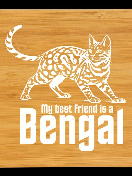 Bengal Lover "Best Friend"