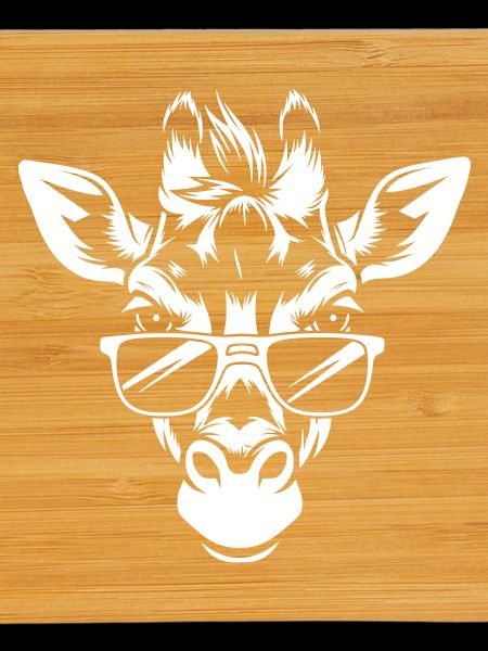 Cool giraffe head with sunglasses