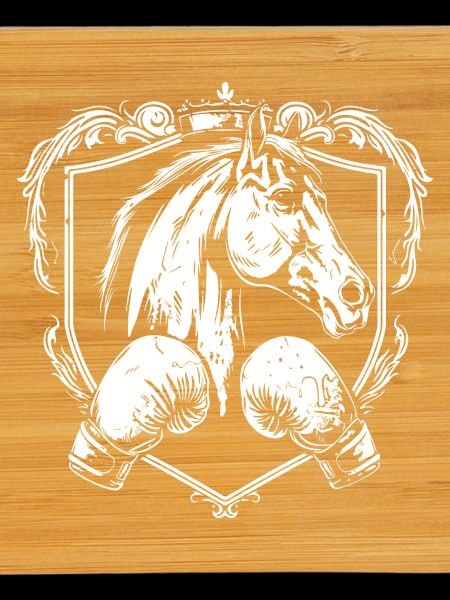 Boxe hippique MMA