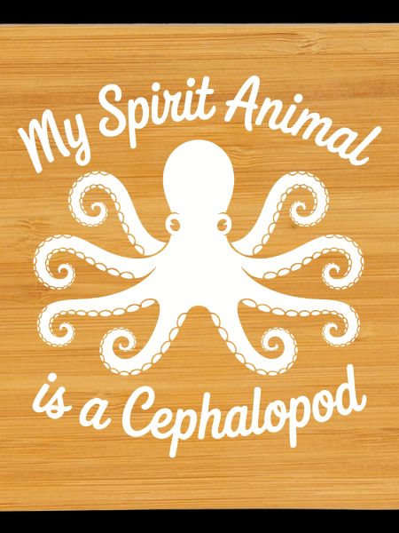 Octopus Minimal Art