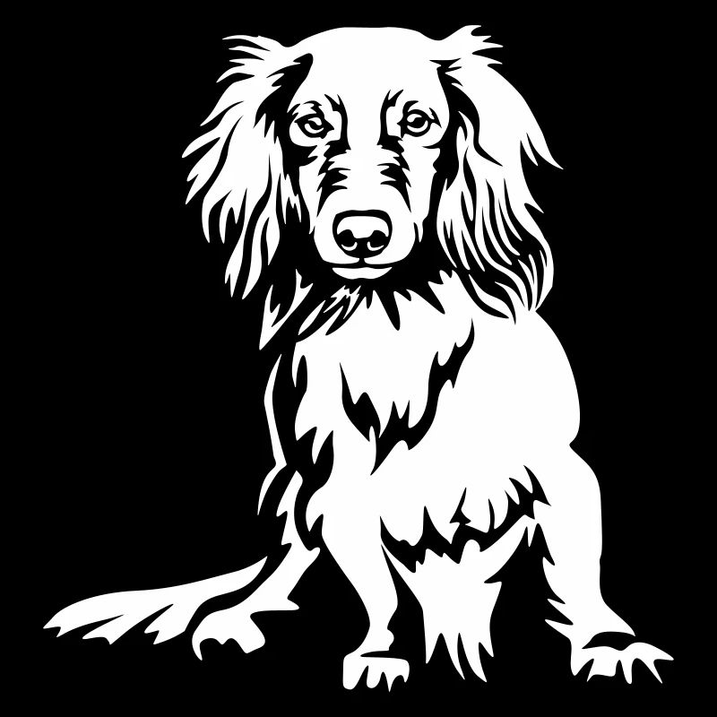 Dachshund "Black Edition"