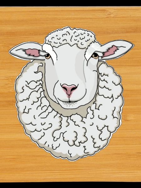 Mouton