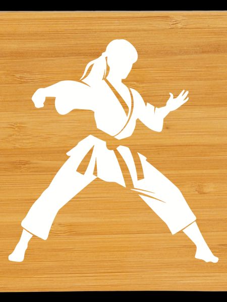 Karateka Woman Sketch