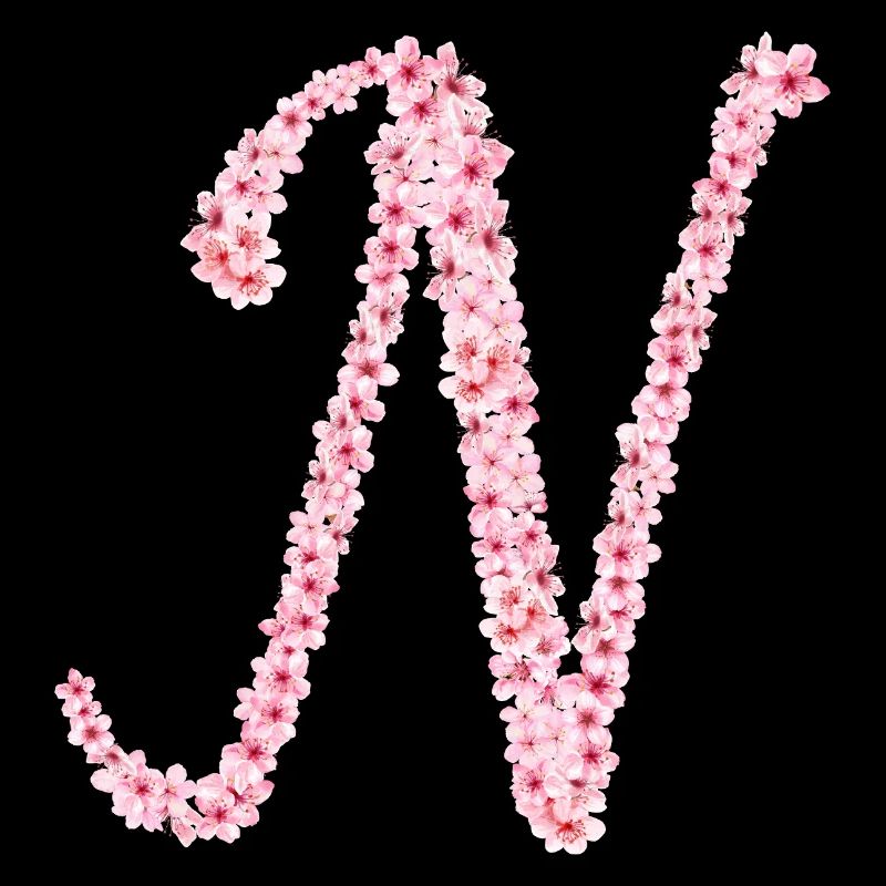 Kirschblüteninitial N