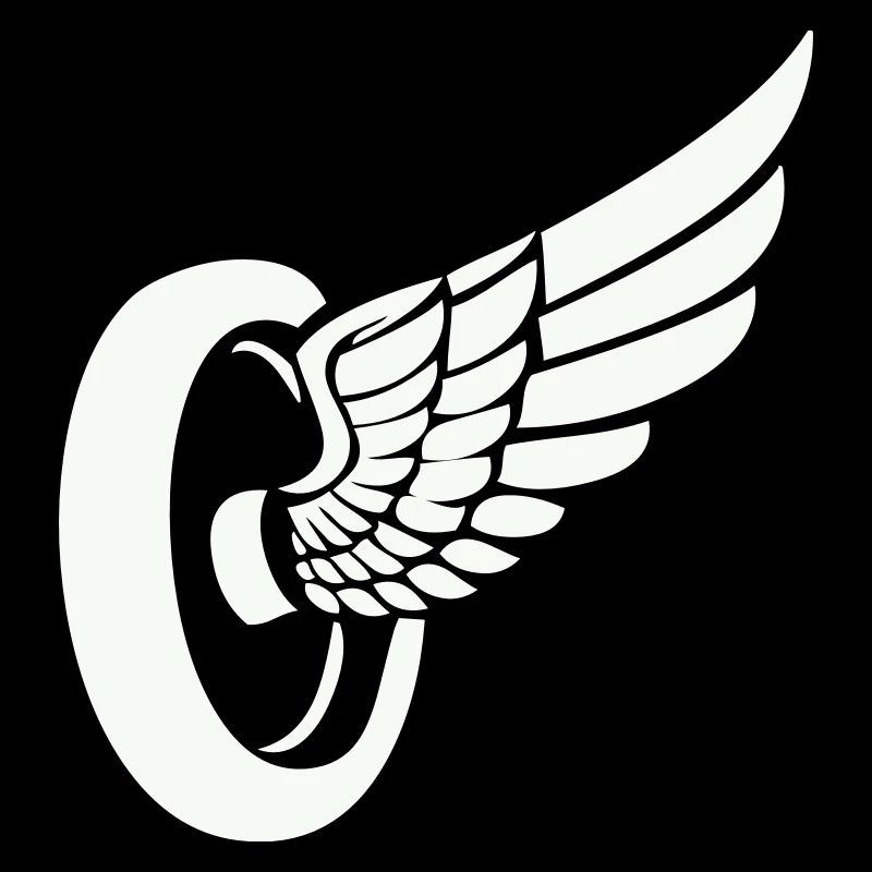 Ailerons de pneus