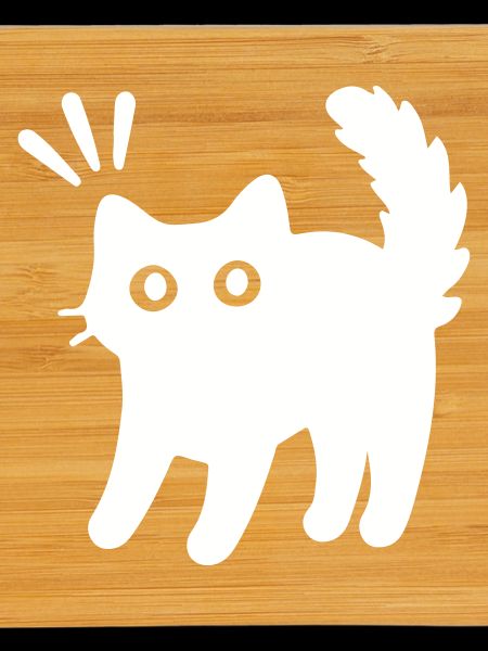 Chat Chat