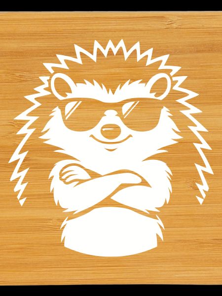 Cooler Igel mit Sonnenbrille
