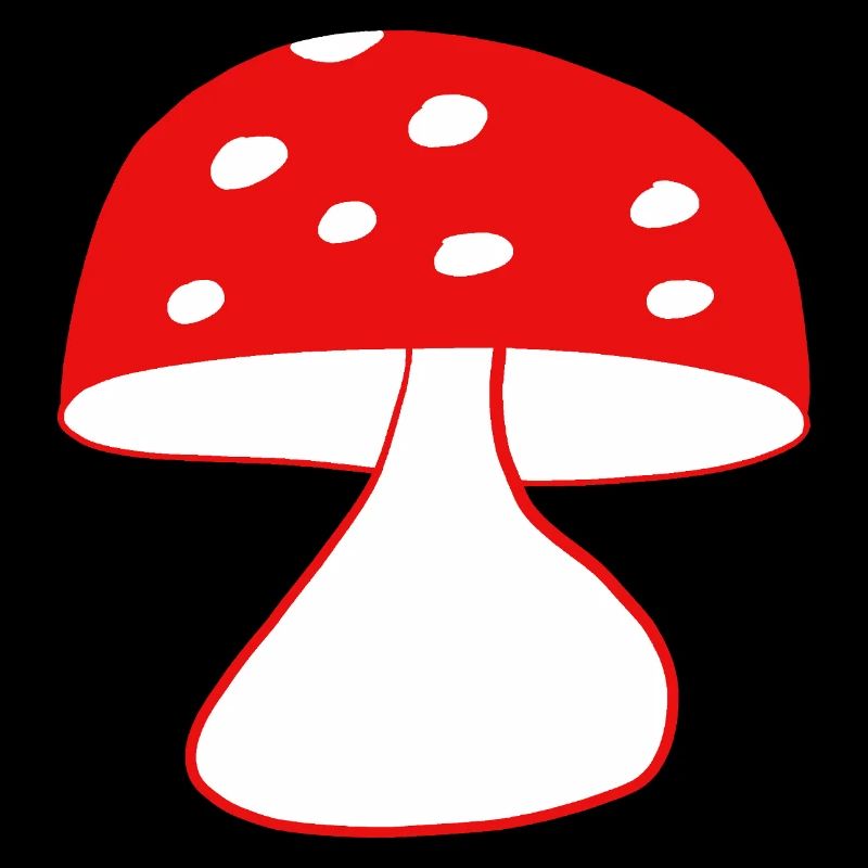 Red fly agaric mushrooms