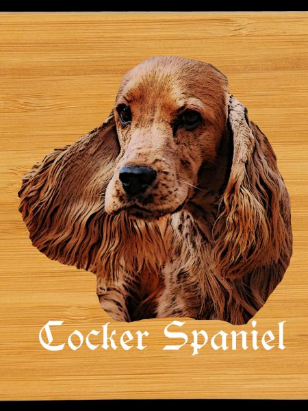 Cocker Spaniel,Spaniel,Dog Head,Pedigree Dog,