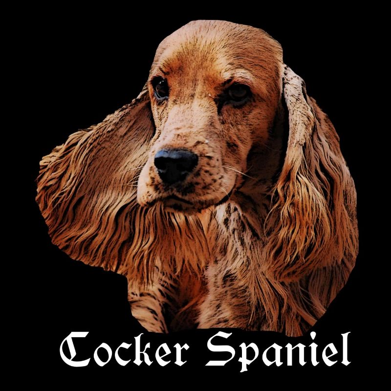 Cocker Spaniel,Spaniel,Dog Head,Pedigree Dog,