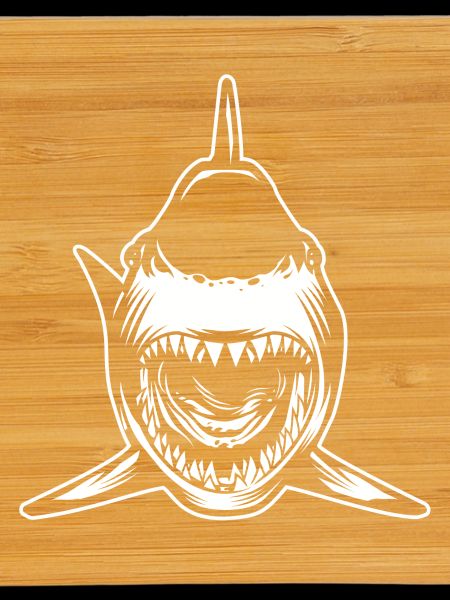 Requin gueule ouverte