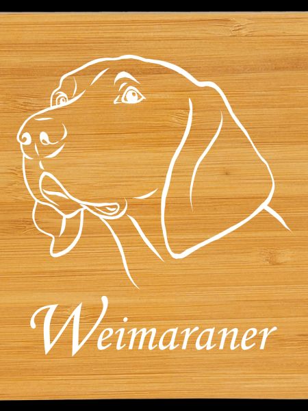 Portrait de Weimaraner