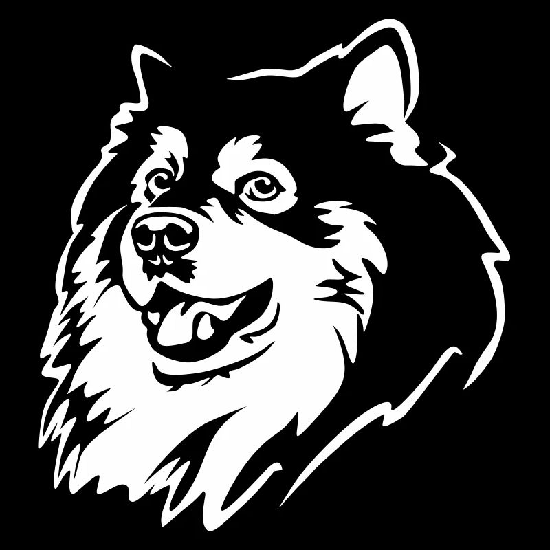 Finnischer Lapphund Kopf "Black Edition"