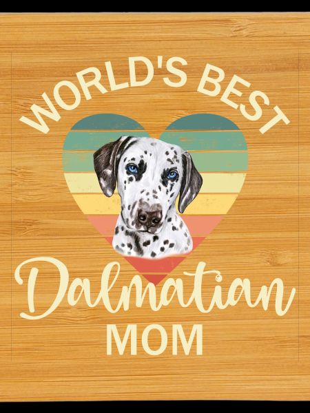 Dog Dalmatian