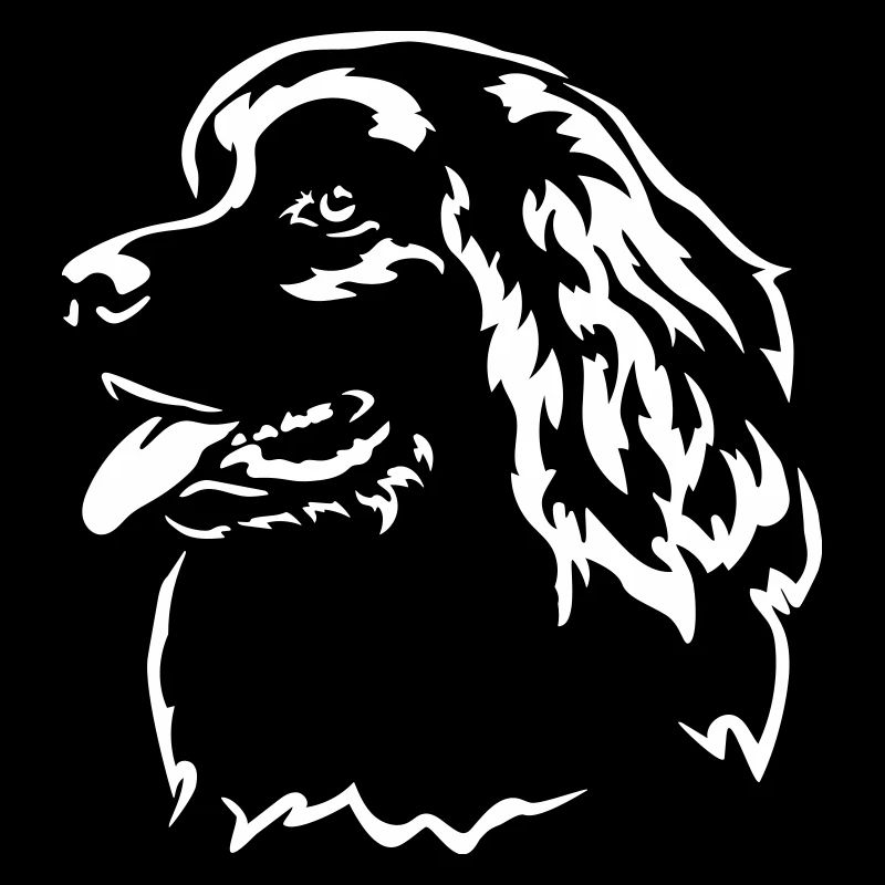 Newfoundland Head "Black Edition"