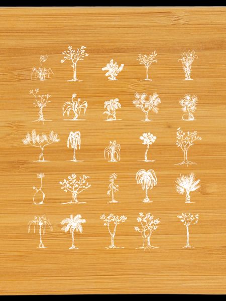 Plants and Trees
